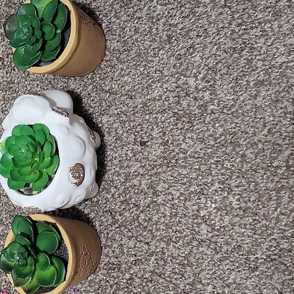 Ridgecut Toughwear Women Jacket Combo - Picture 11 of 14